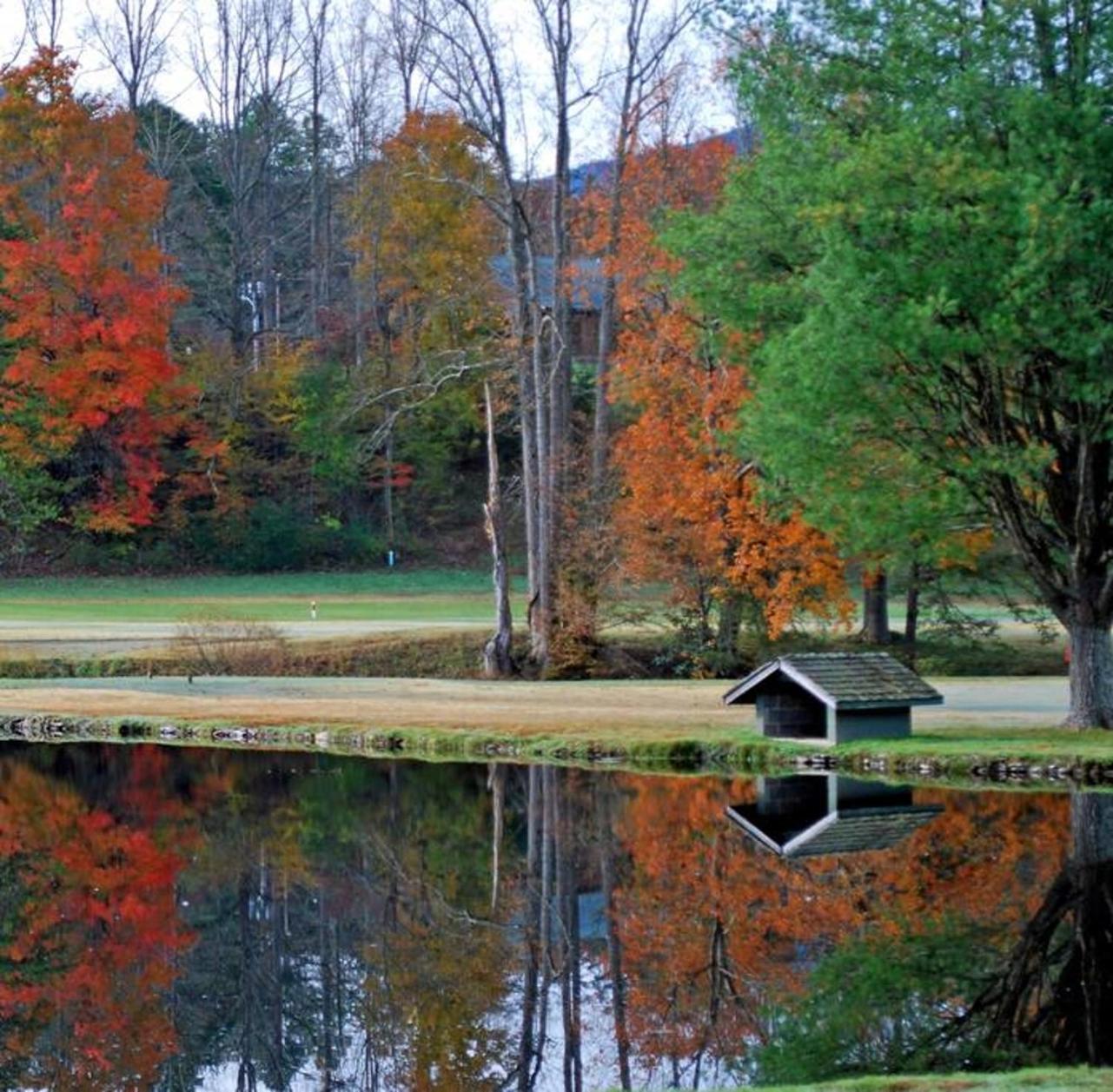 Peace, Serenity & Relaxation In The Smokies! Gatlinburg Luaran gambar